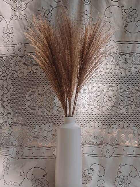 MISCANTHUS – NATURAL (LIGHT BROWN) for wholesale by You Floral