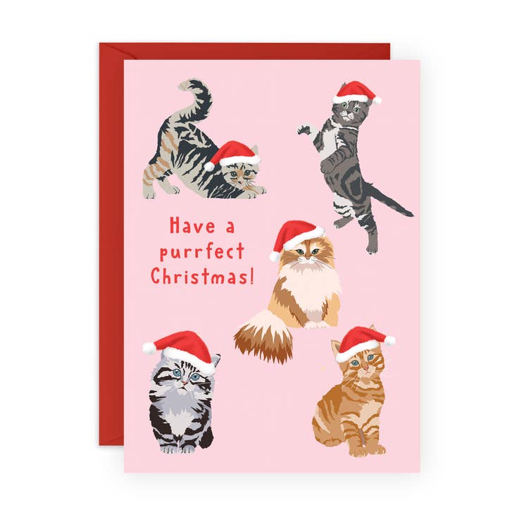 PURRFECT JUL julekort til ham, hende for engroshandel hos Central 23 Cards