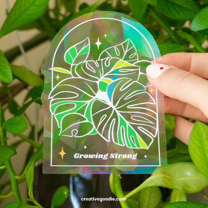 Growing strong suncatcher sticker, Rainbow window decal and other Purchase wholesale window. Free returns & net 60 terms on Faire trending on Faire.