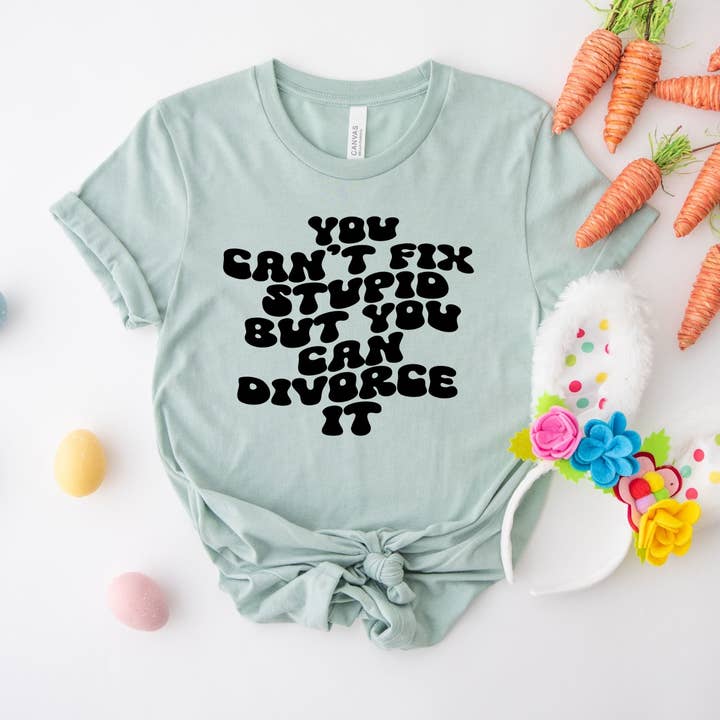 Vous ne pouvez pas réparer la stupidité mais vous pouvez en divorcer pour la vente par MidWest Tees