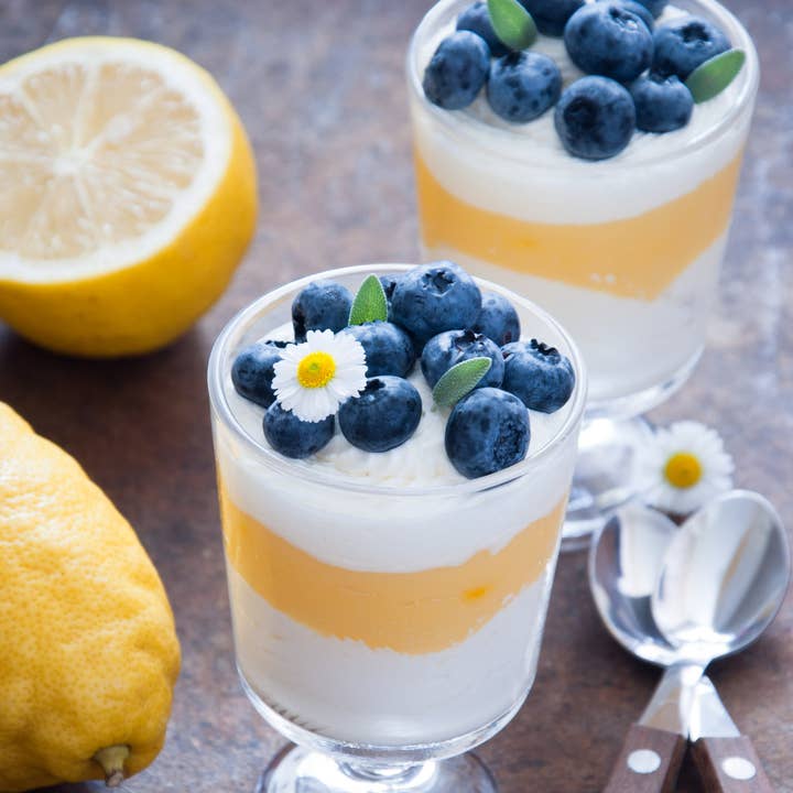 Lark Ellen Farm - Wholesale Granola - Lemon Blueberry Sprouted Granola (Grain-Free)2