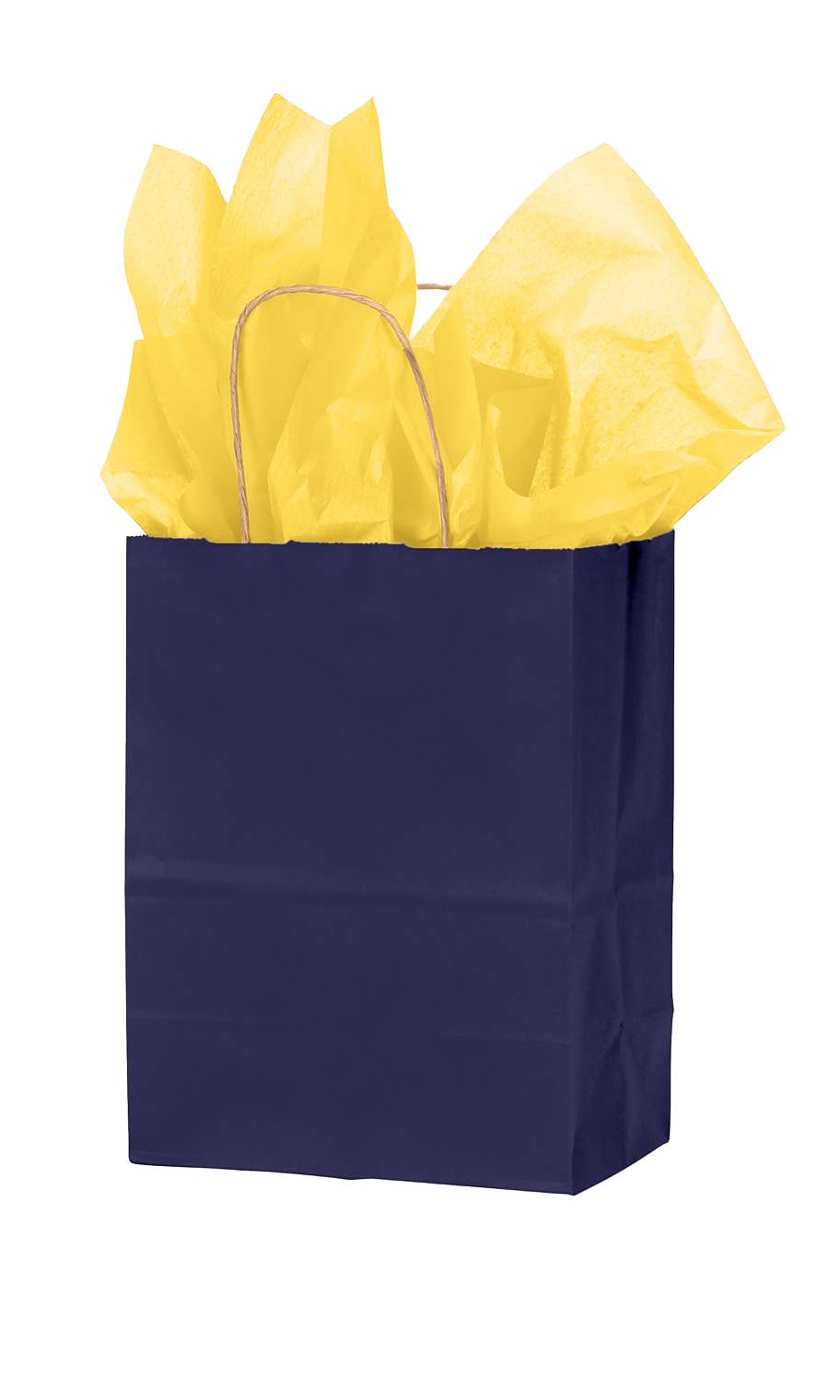 Store Supply Warehouse - Wholesale Gift Bag - Colorful Kraft Paper Shopping Bags22