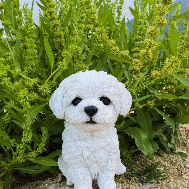 Hi-Line Gift Ltd. - Wholesale Outdoor Ornament/Decor - Maltese Puppy Statue1