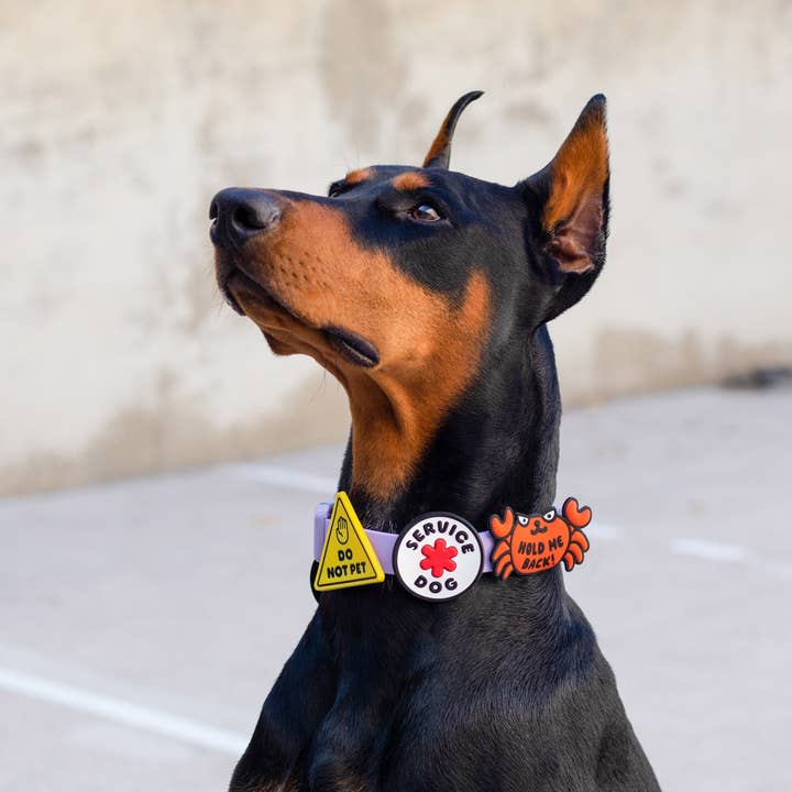 Jiby Dog Crew – Großhandel Halsband-Anhänger – Katze/Hund – Krabbeliger Jiby-Hundeanhänger4