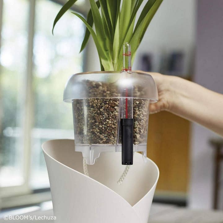 Lechuza Self Watering Planters – wholesale Planting/potting soil – LECHUZA ORCHIDPON Orchid Potting Mix6