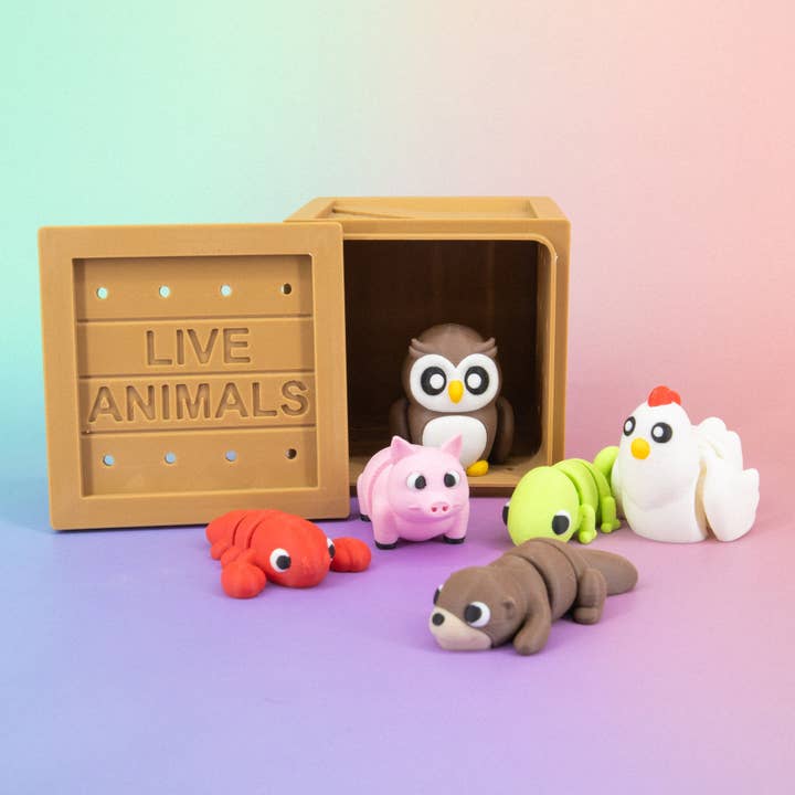 Super Fantastic – Brinquedo Fidget - Crianças por atacado – Pocket Pal: Caixa de Sortido Aleatório