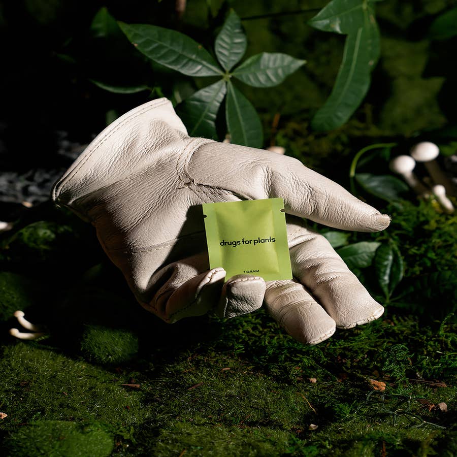 Fuliage  Microfiber Plant Dusting Gloves - Eco-Friendly and Effective Plant  Care Solution