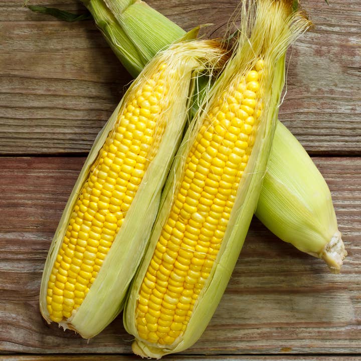 Bentley Seed Co. - Wholesale Plant Seeds - Bulk 500 Piece Vegetable Seed Packets