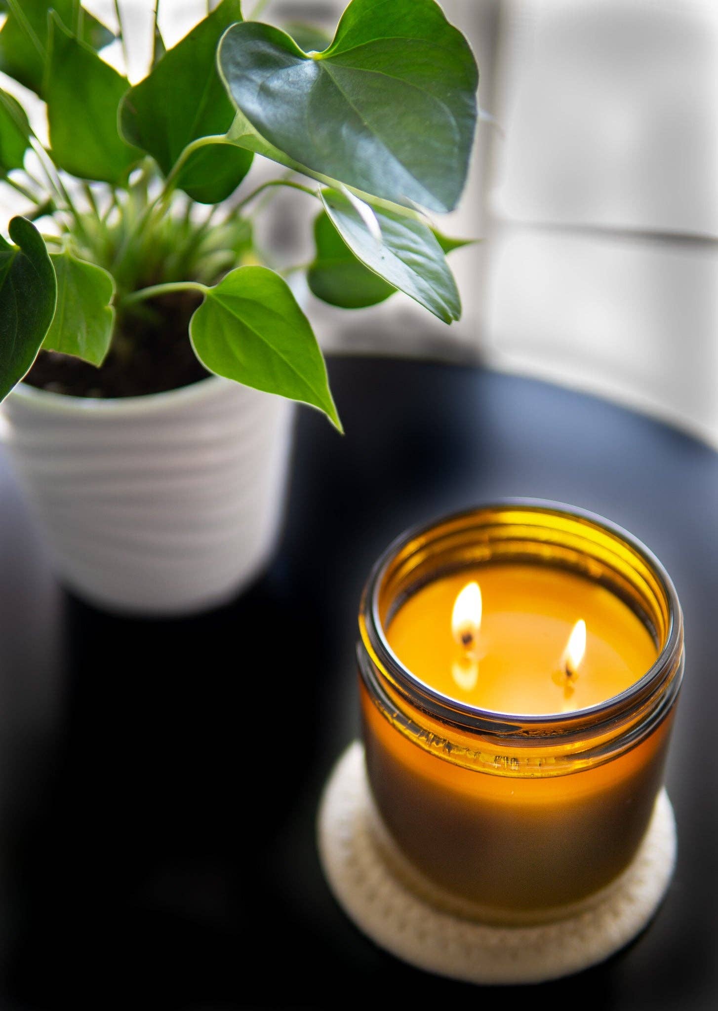 Commonwealth Candle - Wholesale Jar/Filled Candle - Bluegrass Bourbon2