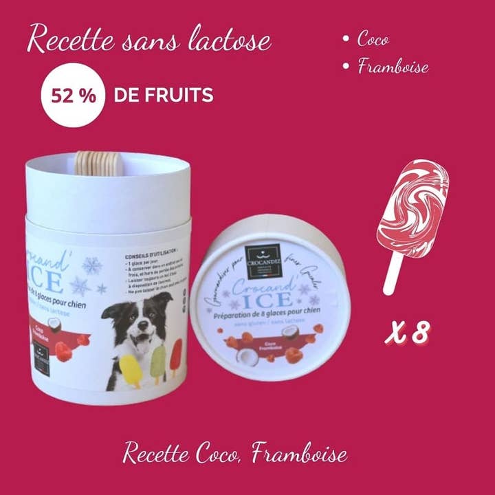 Crocandiz - Wholesale Pet Treats - Dog - Dog Treat, Coconut and Raspberry Ice Cream for Dogs2