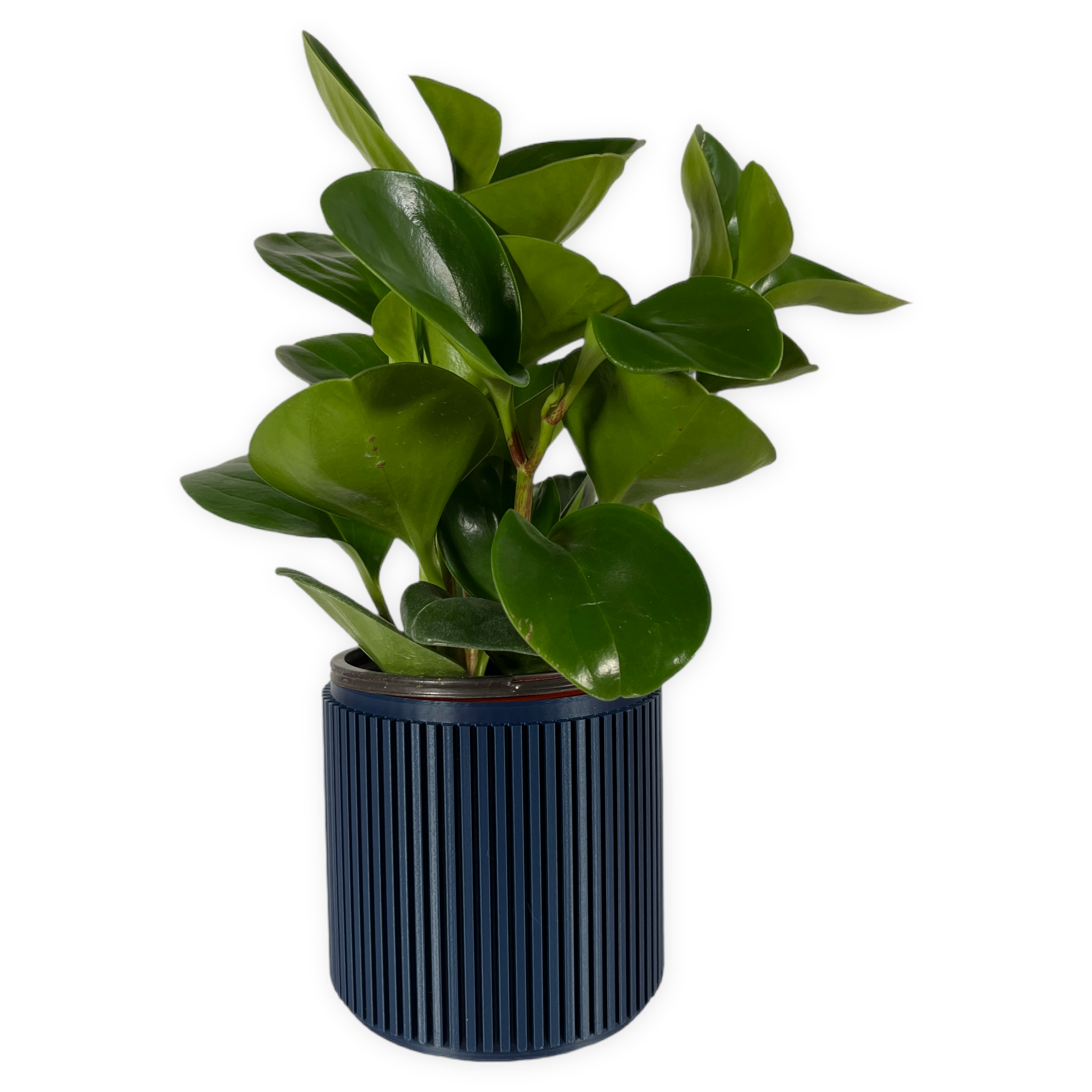 Leafprints.3d - Wholesale Plant Pot - The Willow – 4 Inch Cover Pot (No Drainage)6