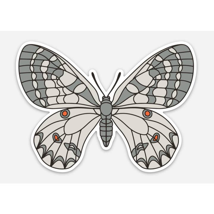 Clodius Parnassian Butterfly Sticker - Montana for wholesale by Field Guide Designs