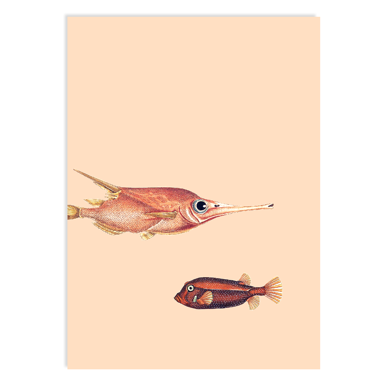 30x40 - Wholesale Postcard - Time For Heroes [fish] Postcard 0