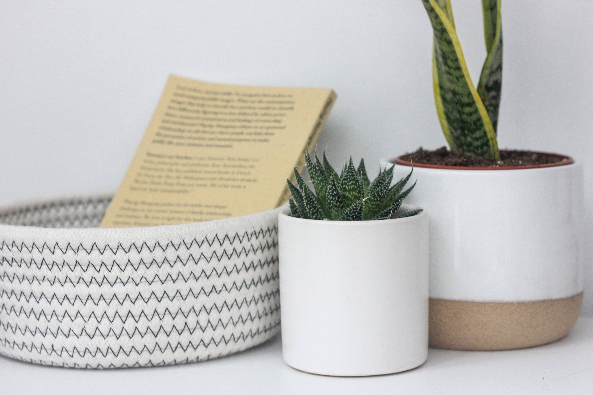 Sprout & About - Wholesale Plant Pot - Large Ceramic Planter Pot White on Beige5