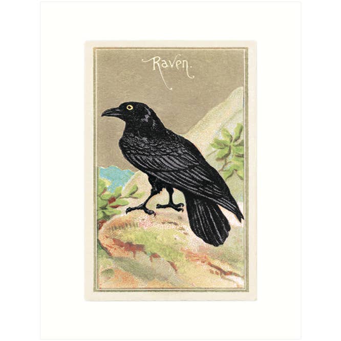 Raven | Blank Greeting Card for wholesale by Lucca Paperworks
