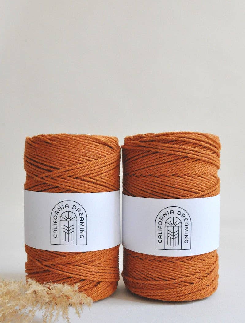 California Dreaming Macrame - Vente Fils à tricoter - Corde en coton recyclé torsadé de 2 mm | 130 m | plusieurs couleurs5