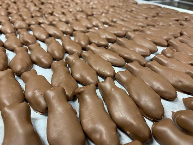 O'Shea's Candies Sweet Shop - Wholesale Chocolate Covered Sweets - Gourmet O'Swedish Fish Milk Chocolate Snack Pack1