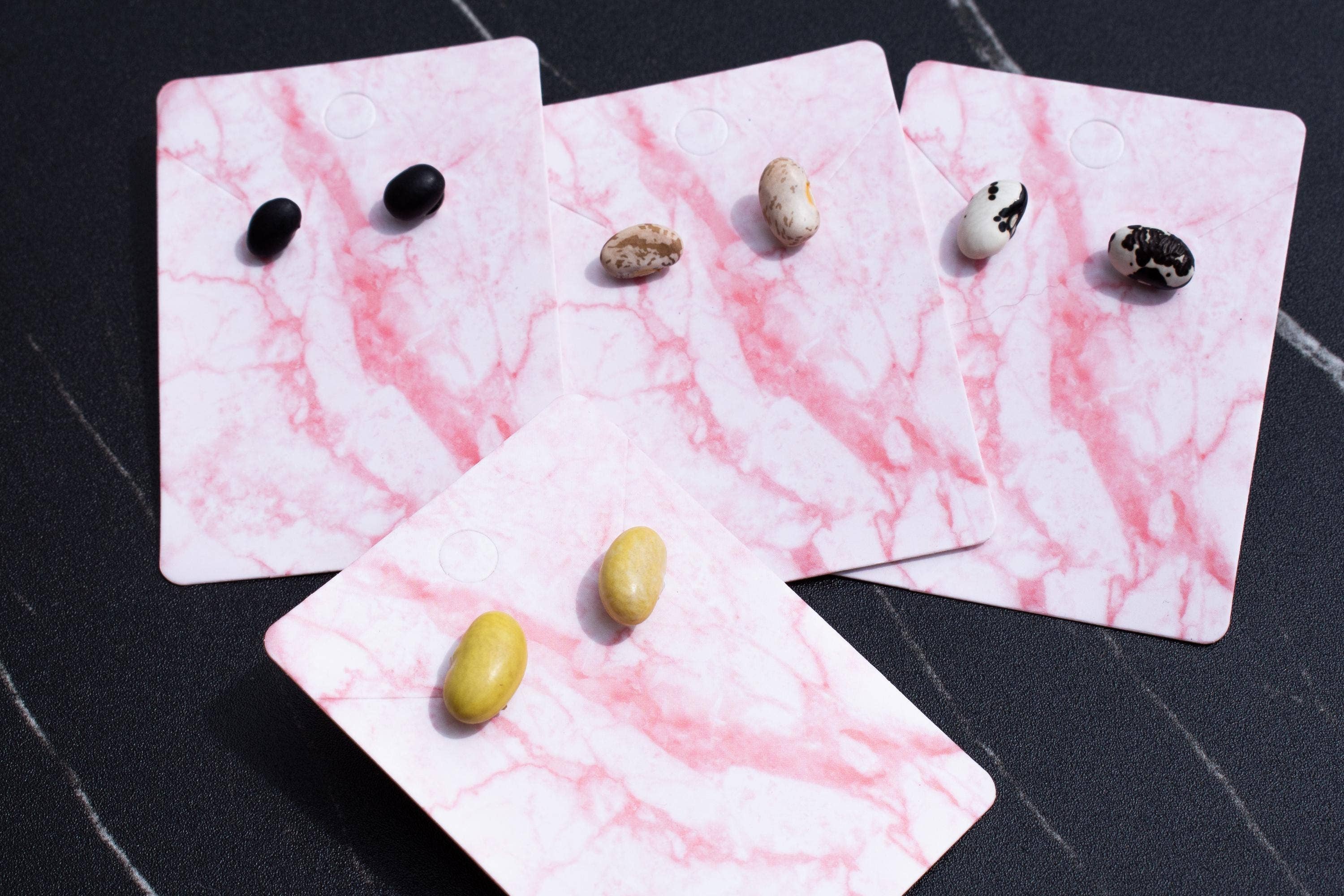 Shutterhaus – wholesale Hängande örhängen – Organiska torkade svarta bönor hypoallergena örhängen7