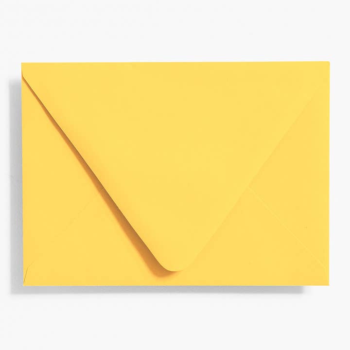 Archived A6 Envelope Bulk Pack (200 Pack) for wholesale by Paper Source Wholesale