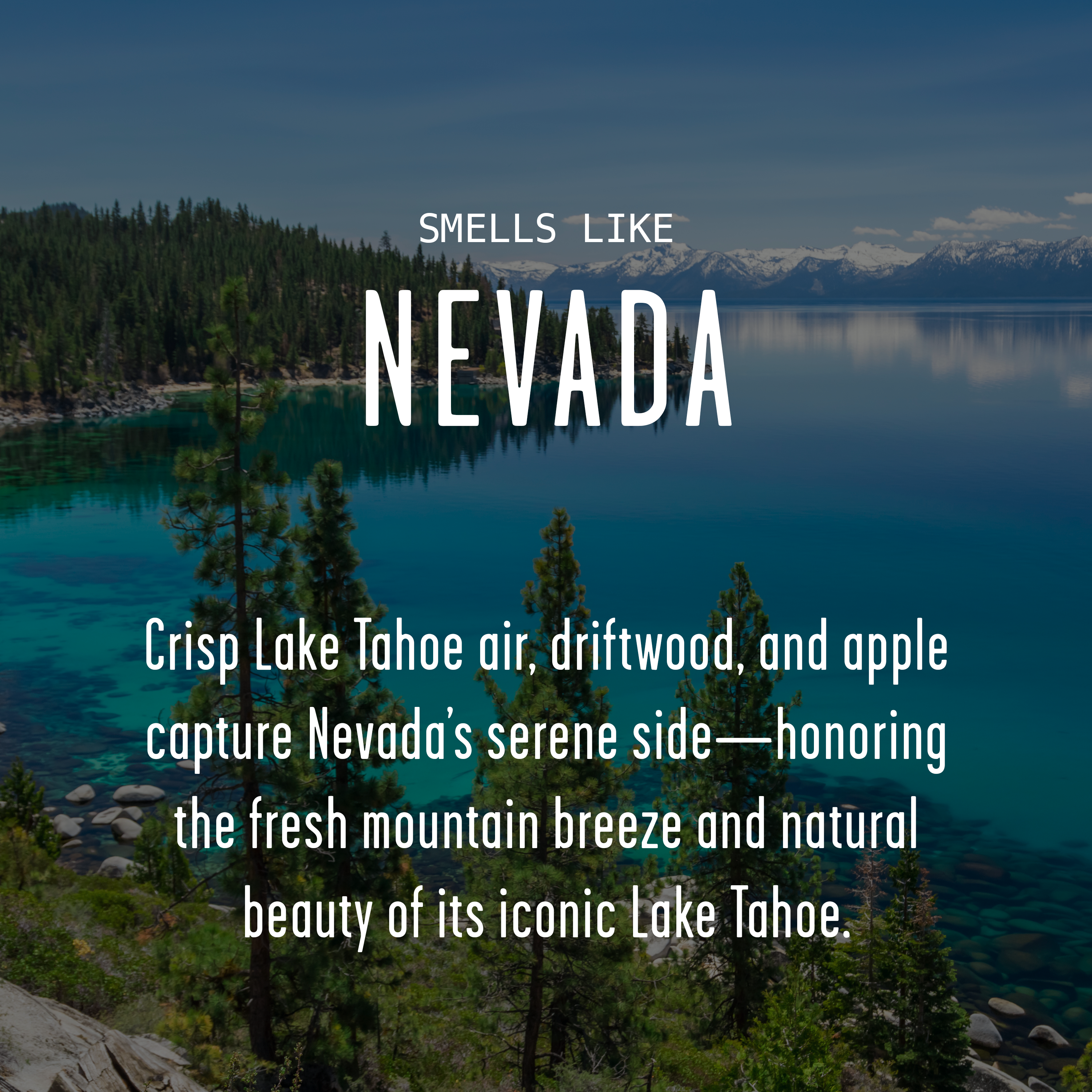 Soy and Sass – wholesale Burkljus – ”Det finns ingen plats som Nevada” sojavaxljus - statliga gåvor1