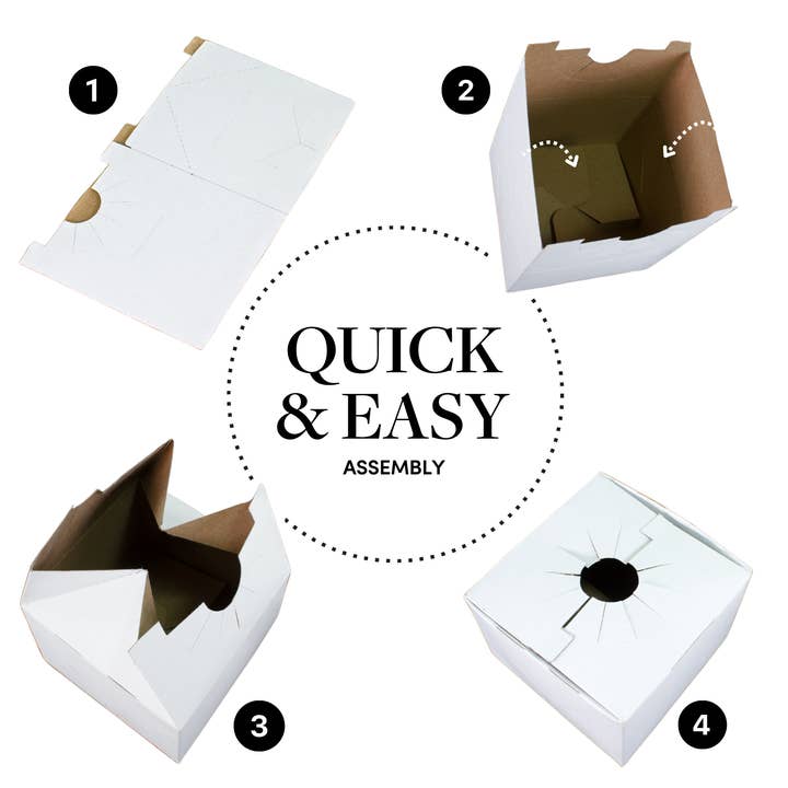 Jacobson - Wholesale Gift Box - 10PK - Quick Fold Floral Delivery Boxes for Vase Transport2