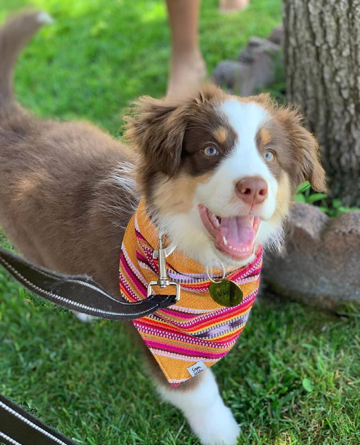Sam & Nala | intentional style for pets & their people - Wholesale Pet Bandana - Dog - Summer Hat Dog  Bandana Dog- Fair Trade + artisan made1