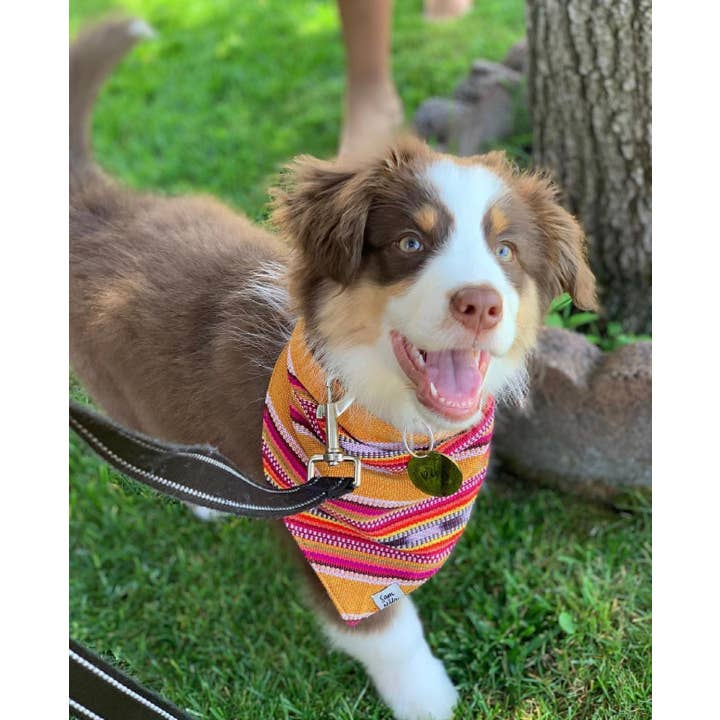 Sam & Nala | intentional style for pets & their people - Wholesale Pet Bandana - Dog - Summer Hat Dog Bandana Dog- Fair Trade + artisan made1