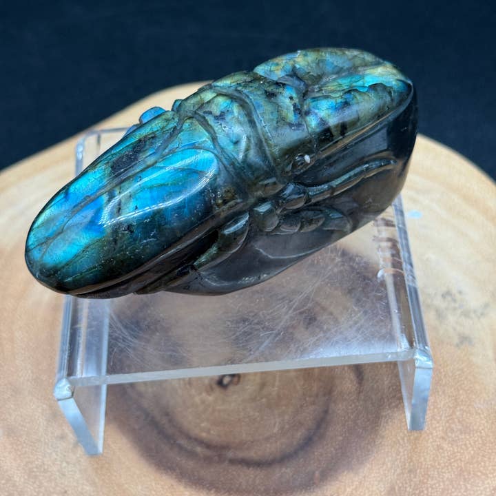 Flashy labradorite insect beetle carving H06 for wholesale by The 7 Directions