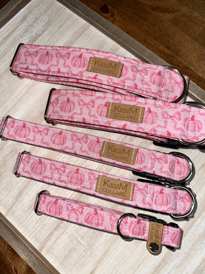 Coleira de cão Abóboras e Labóboras Rosa, Acessório para Animais por atacado de K and M Collars