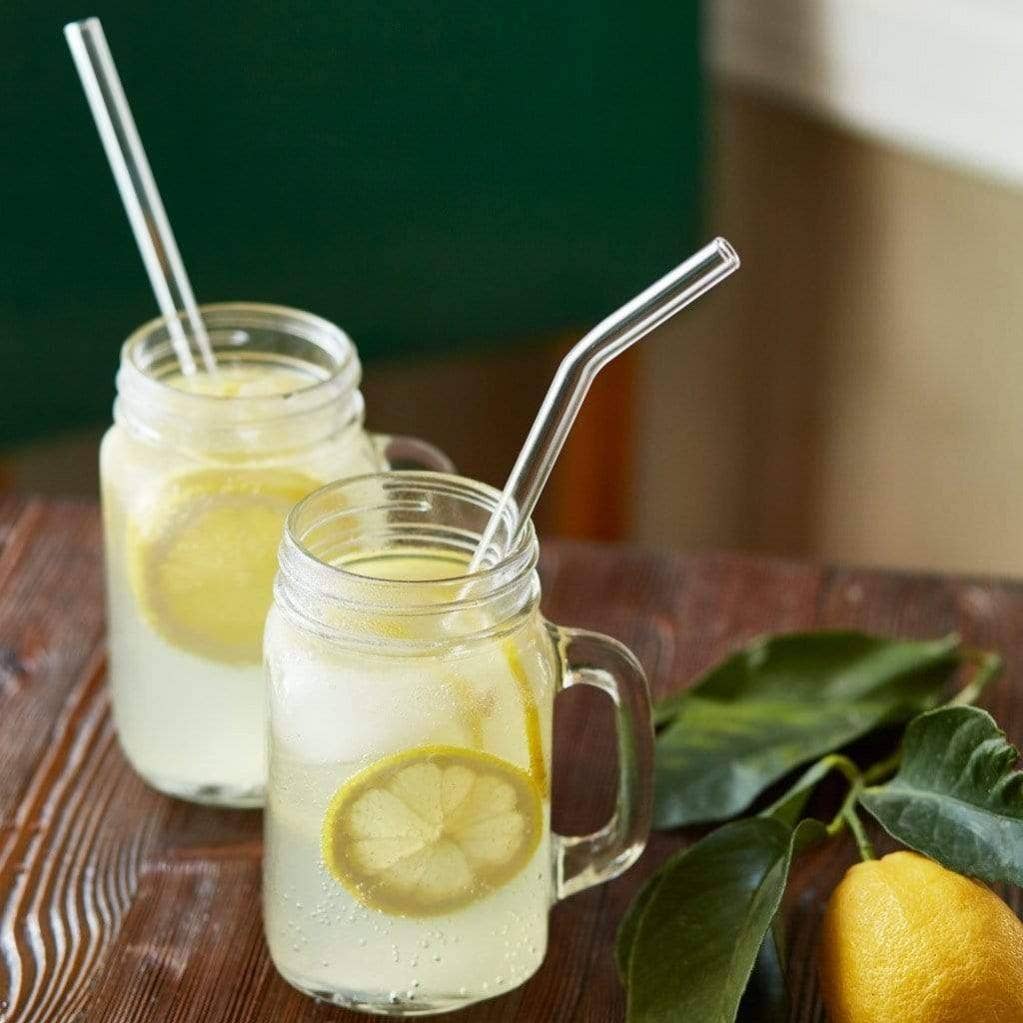 HALM Straws - Wholesale Drinking Straw - 6x 23cm (curved) glass straws4