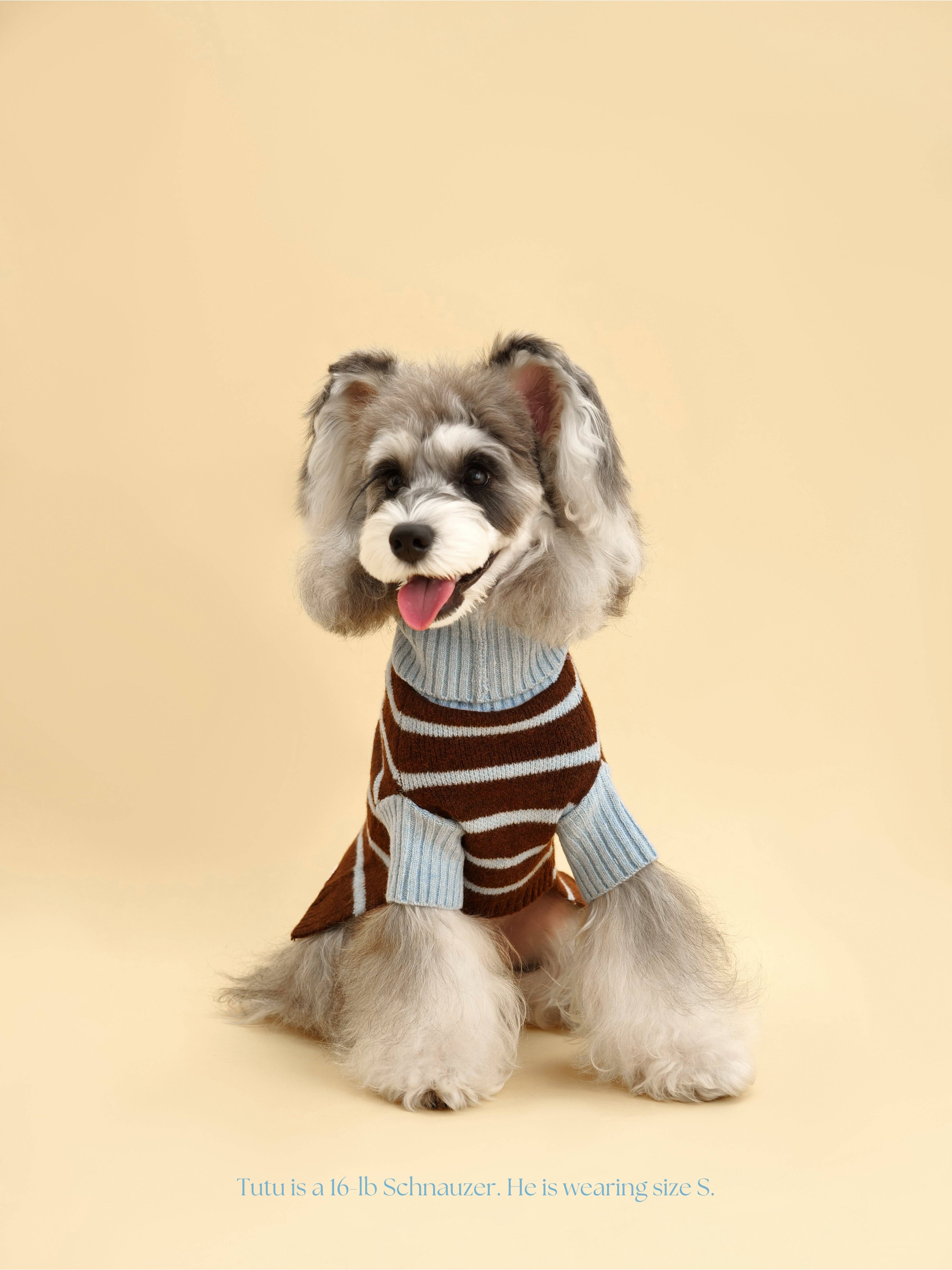 BarkBarkBaby - Wholesale Pet Sweater - Dog - Bluebell Stripes Sweater5
