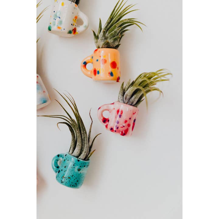 The Glazing Sun - Vente Plante - Mini tasse magnétique en forme de plante aérienne5