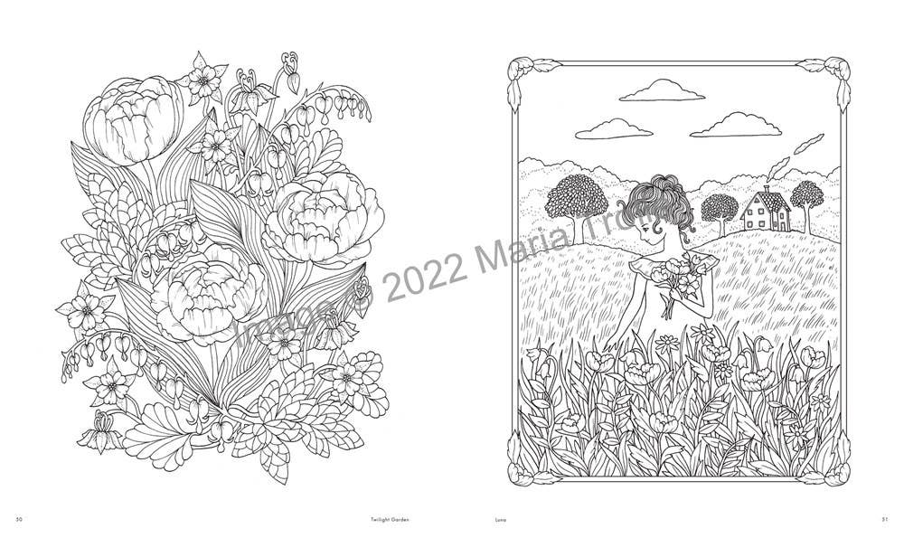Gibbs Smith - Vente Livre de coloriage et d'activités pour adultes - Cahier de coloriage L'univers de Maria Trolle4