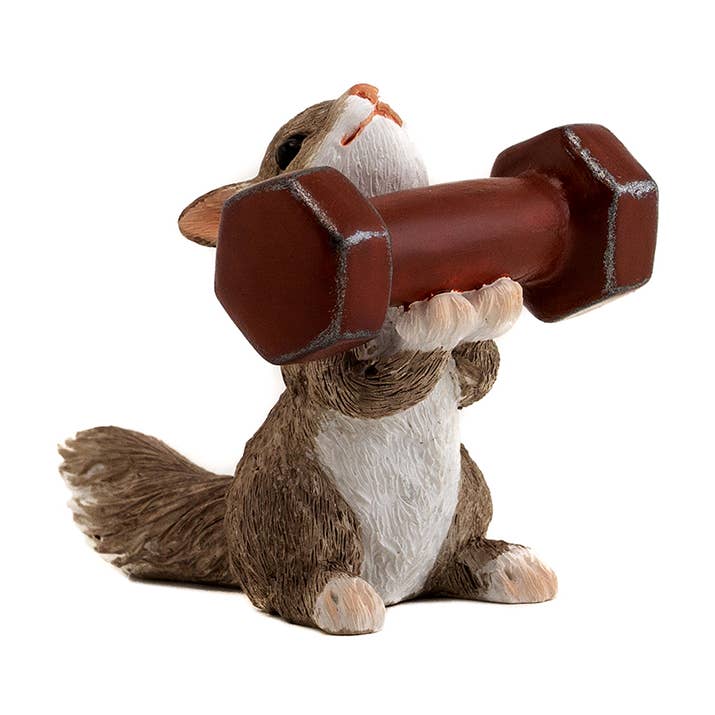 Squirrel Exercising for wholesale by Top Land Trading