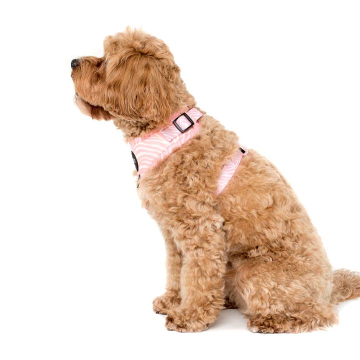 Pablo & Co. Boutique - Wholesale Pet Harness - Dog - Pink Zebra: ADJUSTABLE DOG HARNESS