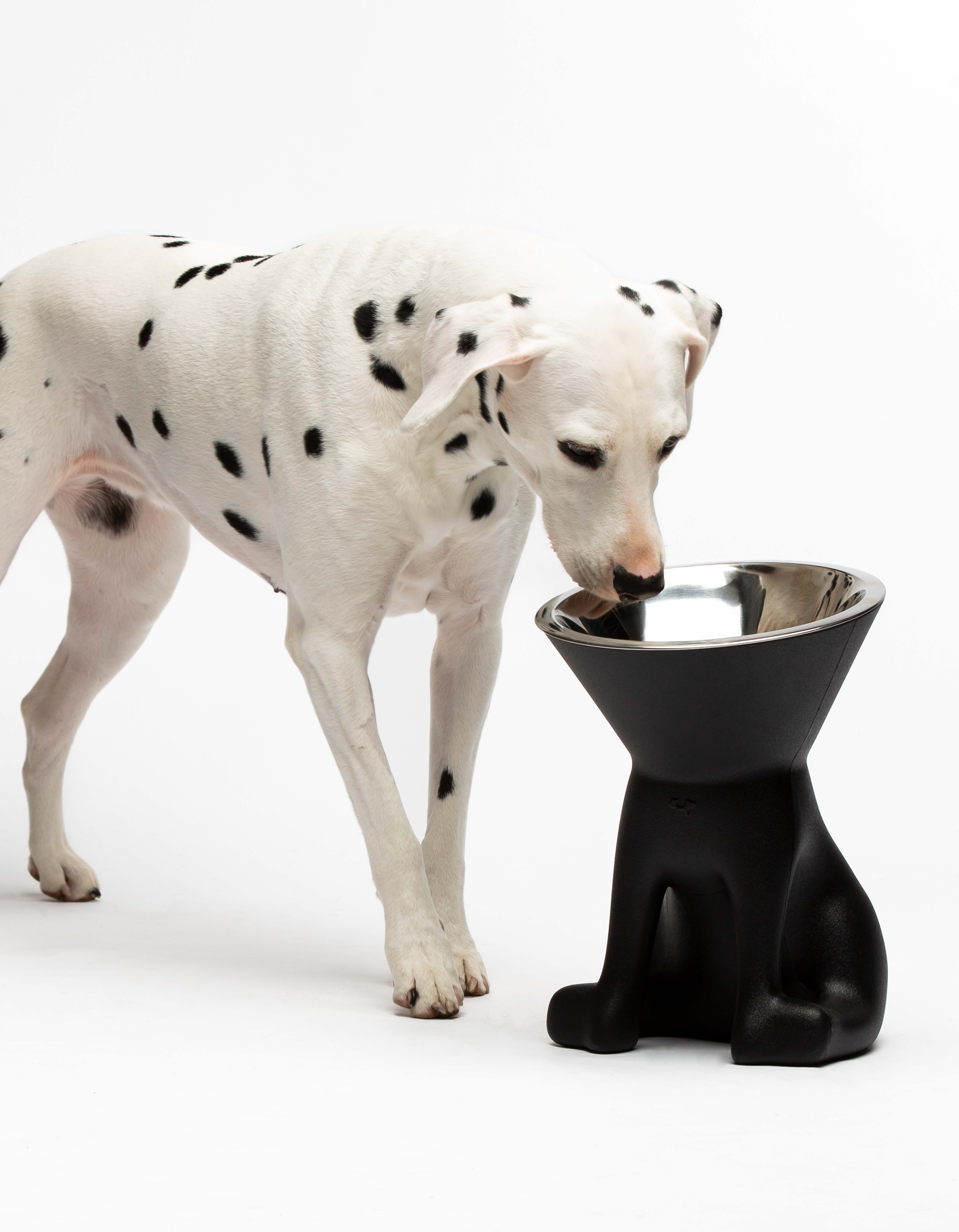 United Pets - Vente Gamelle – chat et chien - Elizabeth : gamelle surélevée pour chien26