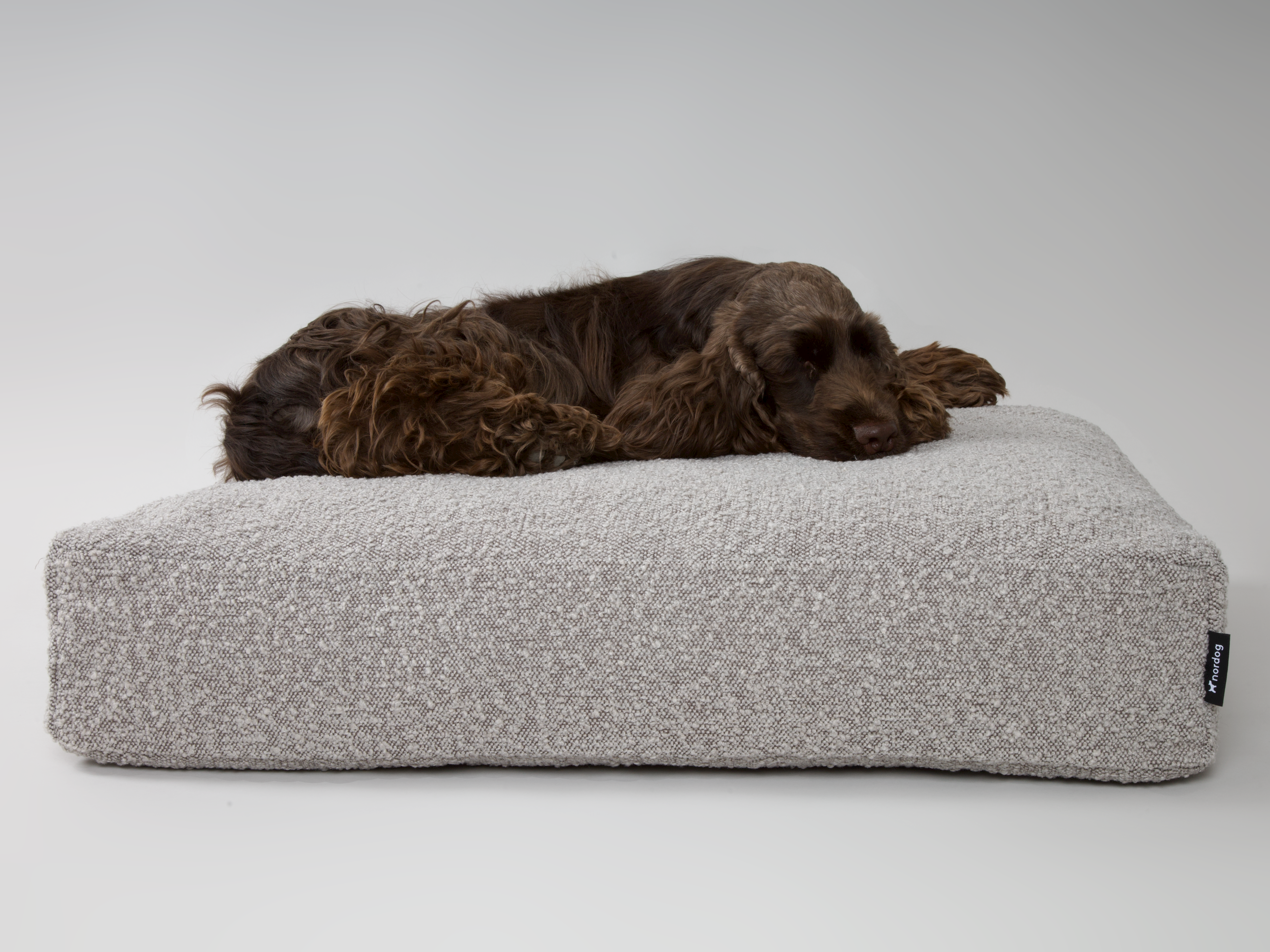 Nordog – cama - Cão por atacado – Almofada para cachorro BILLY em bouclé taupe9