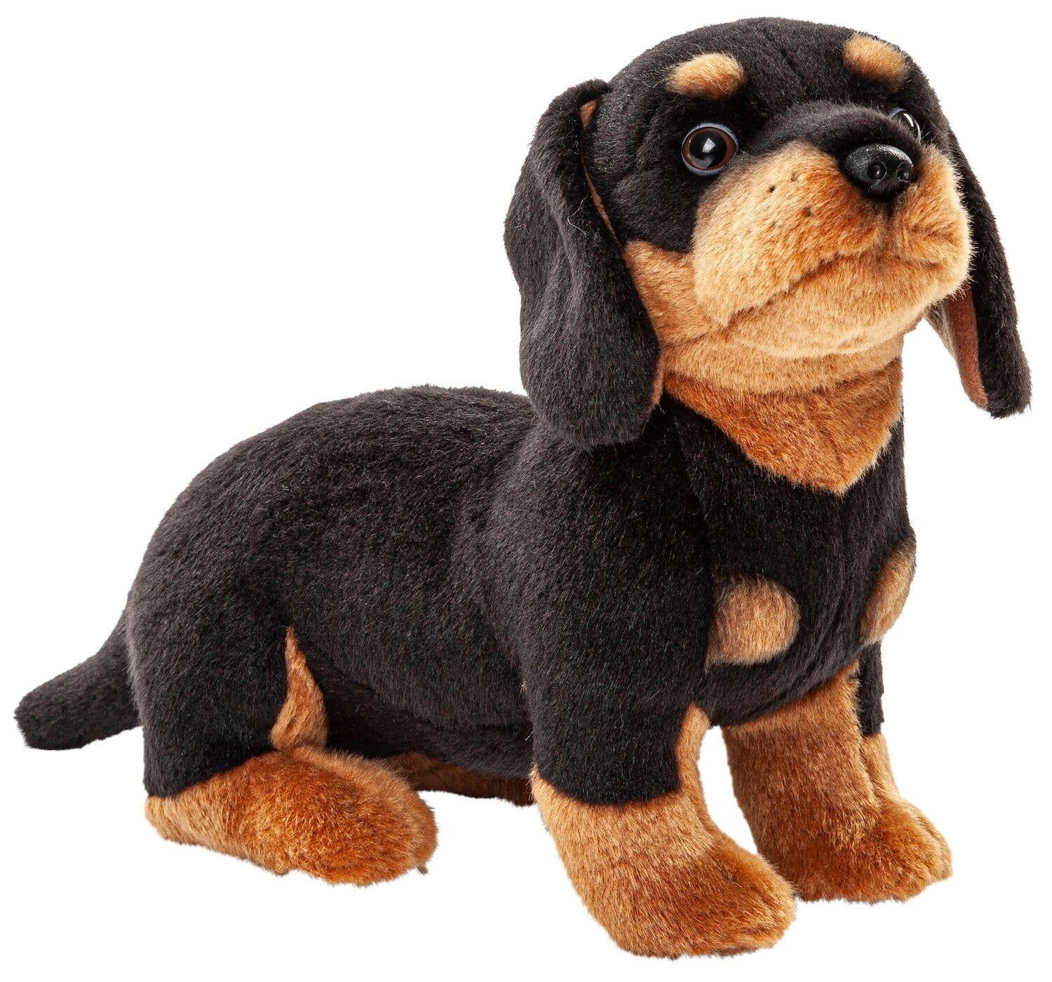 Uni Toys – wholesale Fyllda/plyschleksaker - Barn och baby – Mjukisdjur tax utan koppel, 27 cm lång3