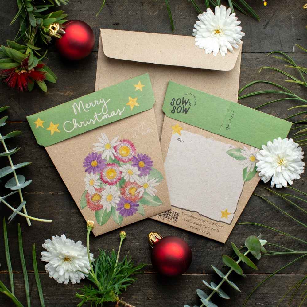 Sow 'n Sow – wholesale Plant seeds – Christmas Gift of Seeds Starter Pack (Australia Only)7