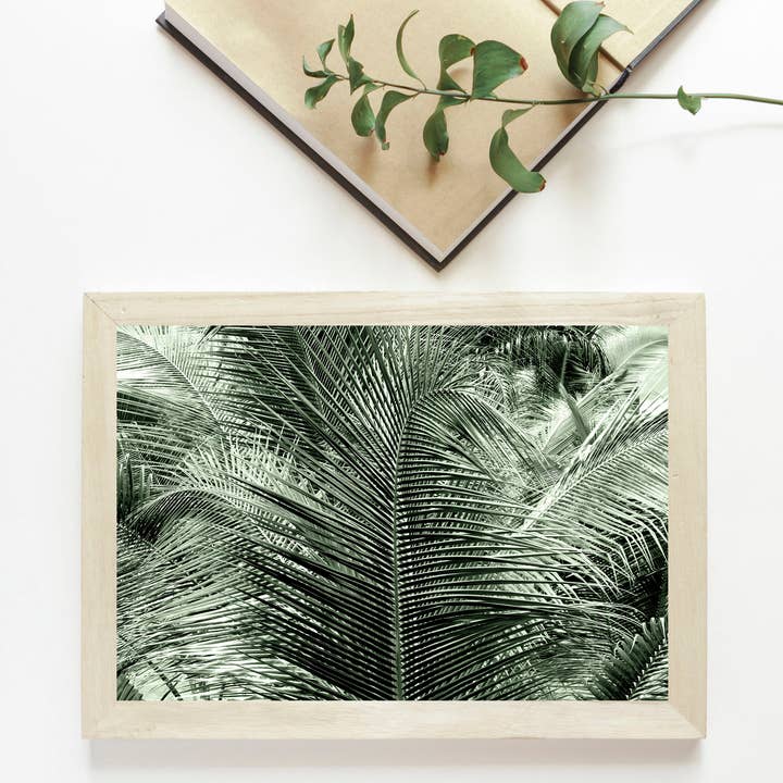 Veni Etiam Photography - Wholesale Art Print - Palm Tree Boho Wall Art10