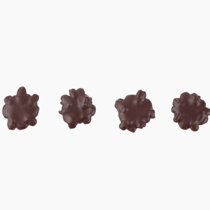 Hill Country Chocolate - Wholesale Chocolate Covered Sweets - Dark Chocolate Caramel Pecan Clusters1