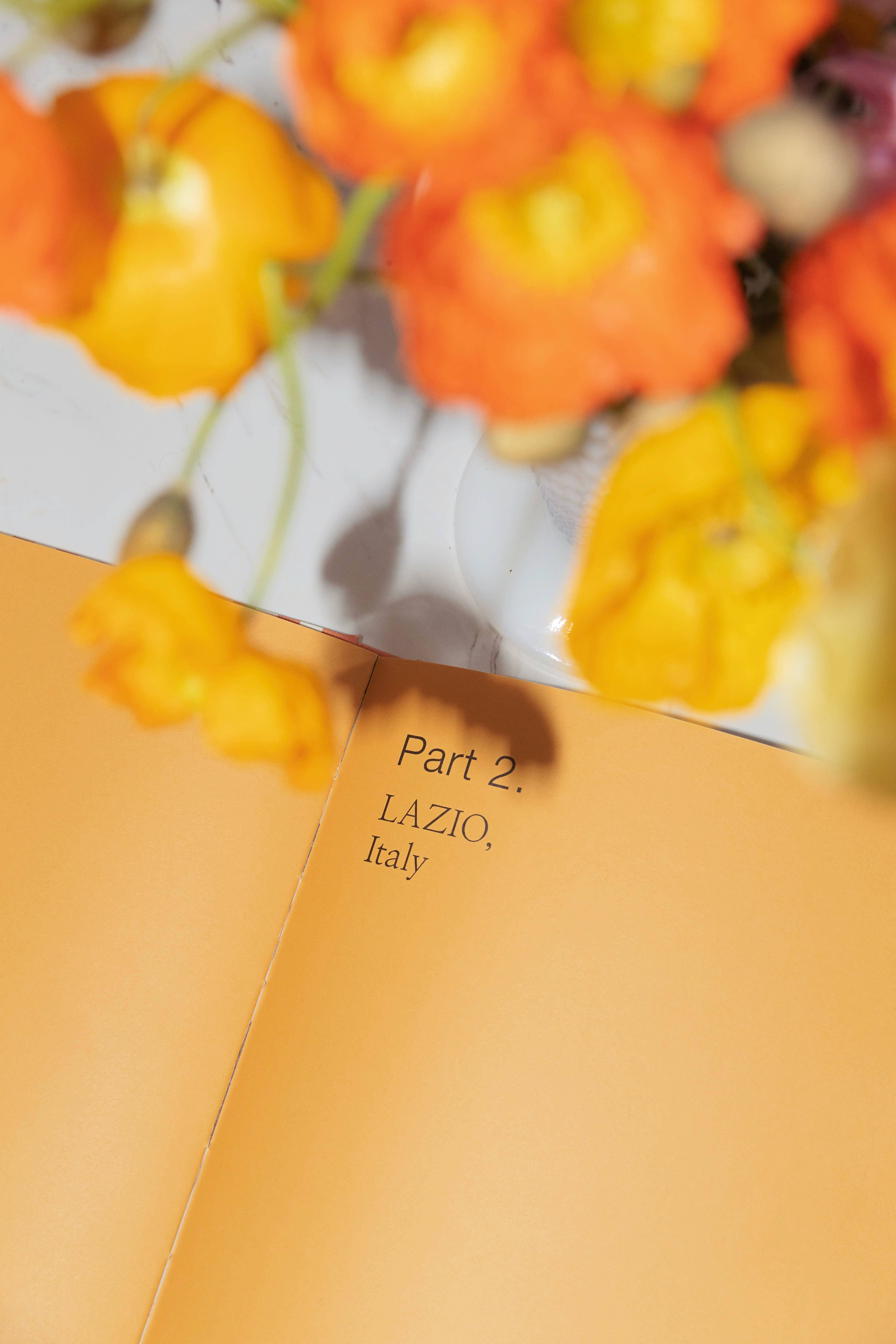 Small Pleasures Book - Vendita all'ingrosso Libro di viaggio - Small Pleasures - Libro da tavolino11