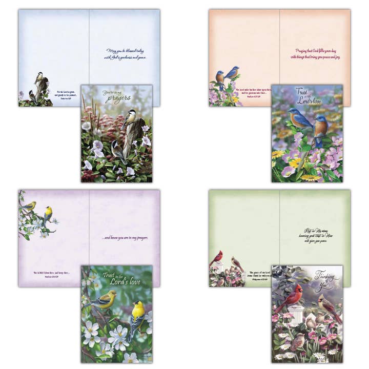 Signs of Spring - Boxed Thinking of You Cards, Box of 12 for wholesale by Crown Point Graphics