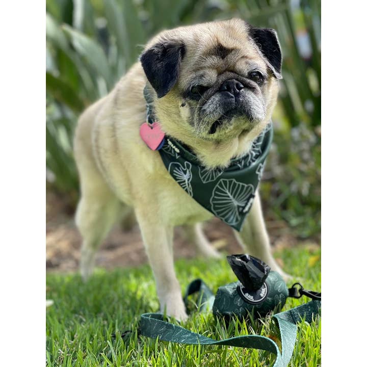 The Keiki Dept - Wholesale Pet Bandana - Dog - Hawaiian Pet Signature Green Kalo Bandana