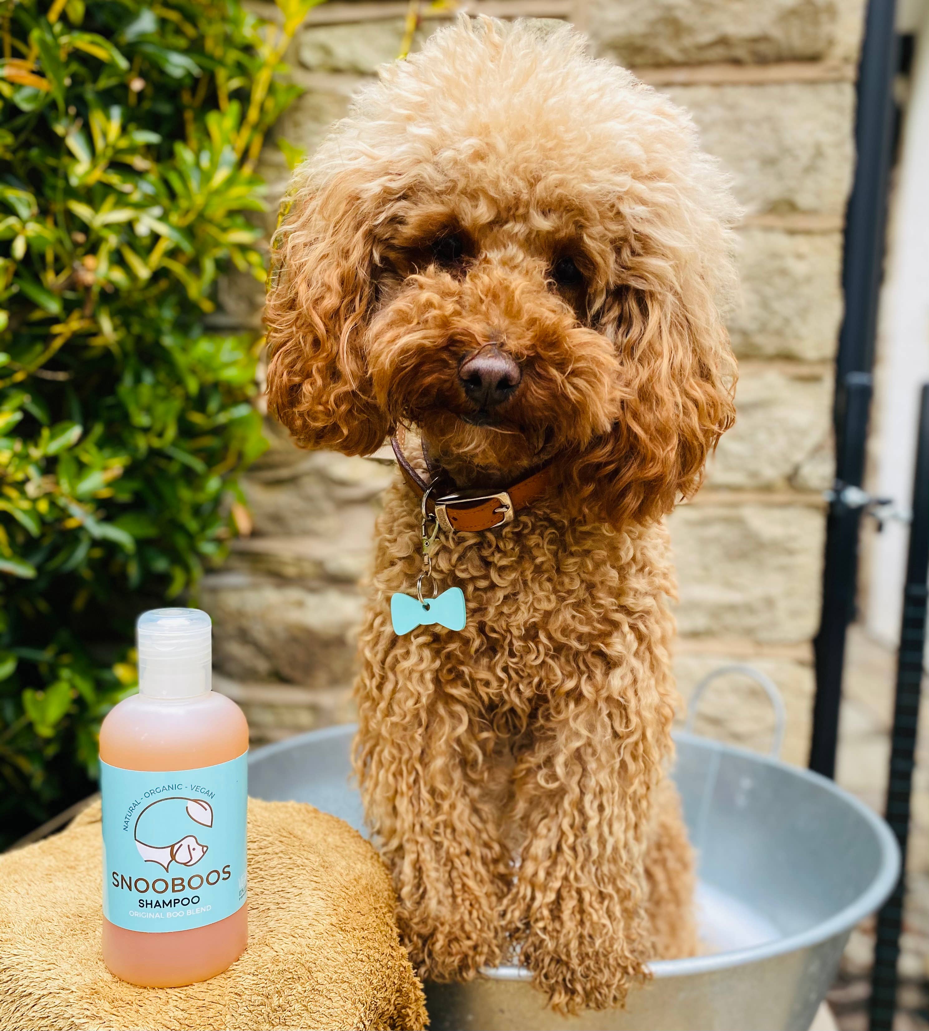 Snooboos Ltd - Wholesale Pet Shampoo - Dog - Snooboos Natural Dog Shampoo with Cedarwood & Juniper4