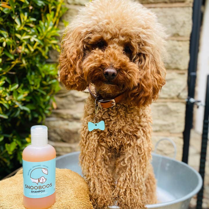Snooboos Ltd - Wholesale Pet Shampoo - Dog - Snooboos Natural Dog Shampoo with Cedarwood & Juniper4