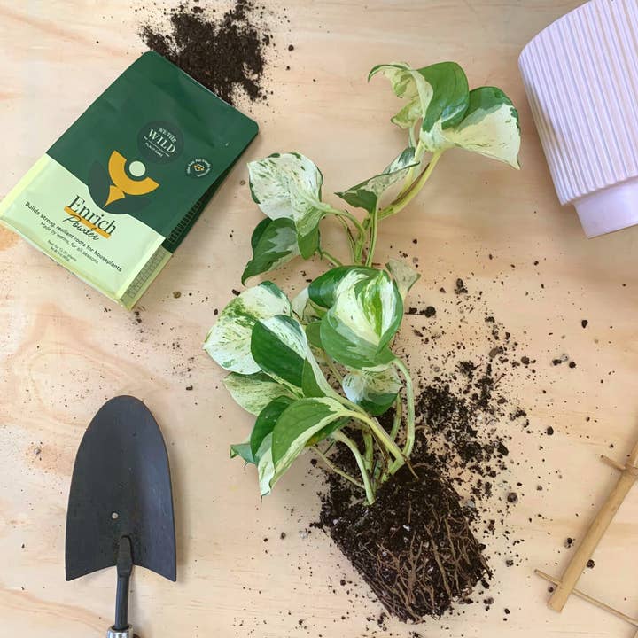 We The Wild Plant Care USA - Wholesale Fertilizer - Enrich Organic Plant Food and Soil Amendment 14 oz2