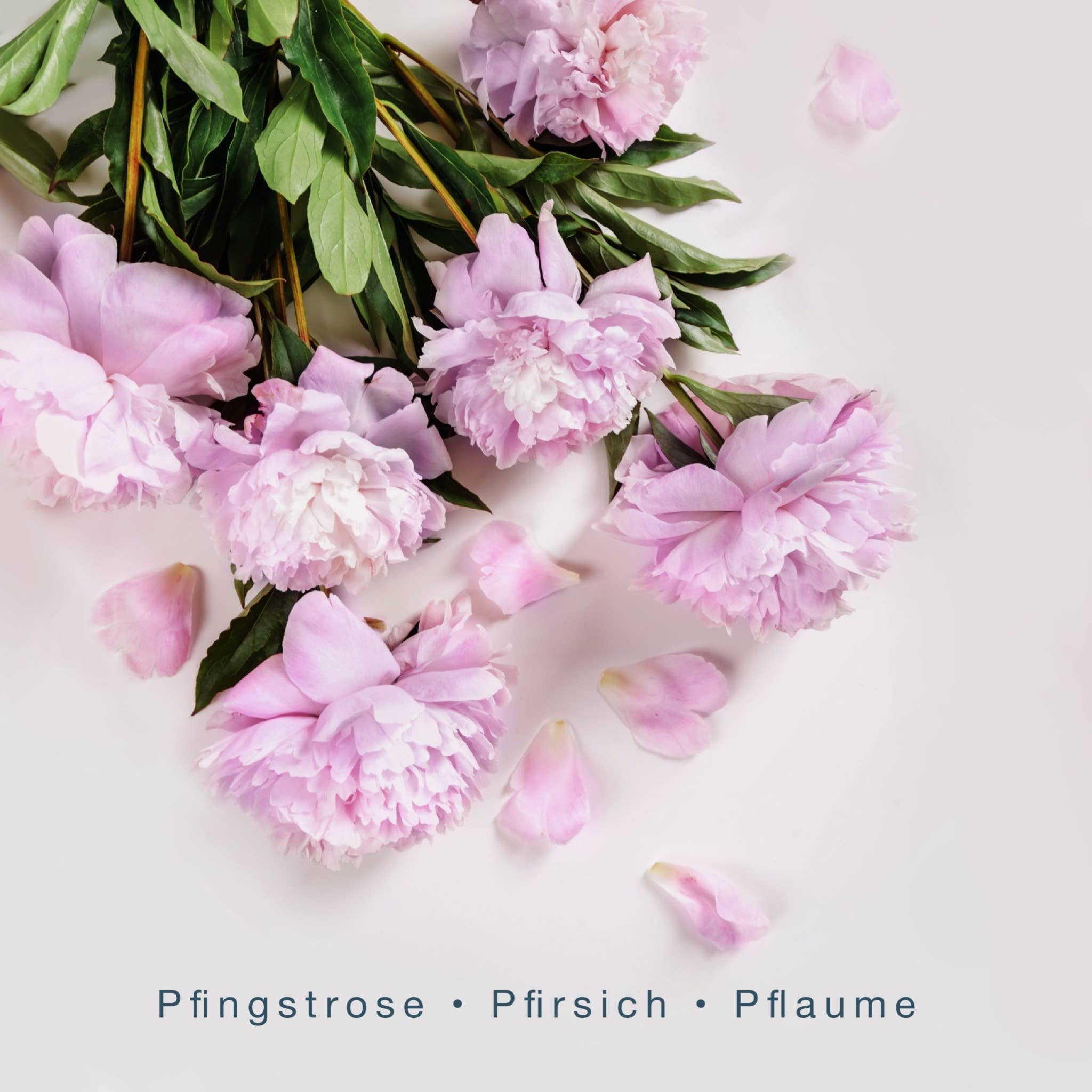 SCENTORIE. - Wholesale Reiskaarsen - My Valentine geurkaars 110 g met meditatie-QR-code1