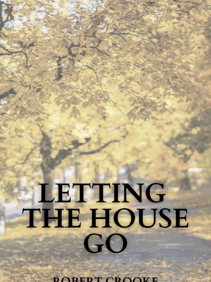 Letting The House Go for wholesale by Unsolicited Press