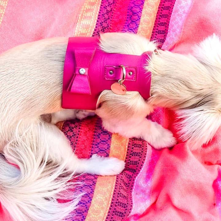 PoisePup - Vente Harnais – chien - HARNAIS - CANDY SWIRL6